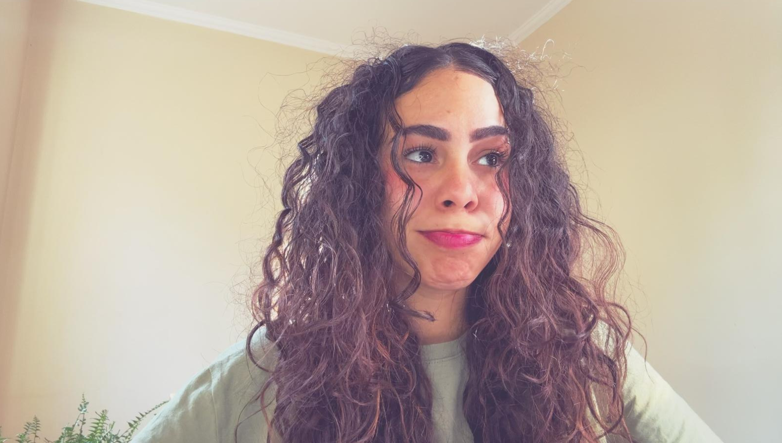 Por Que o Cabelo Fica com Frizz? Causas, Erros Comuns e Soluções!