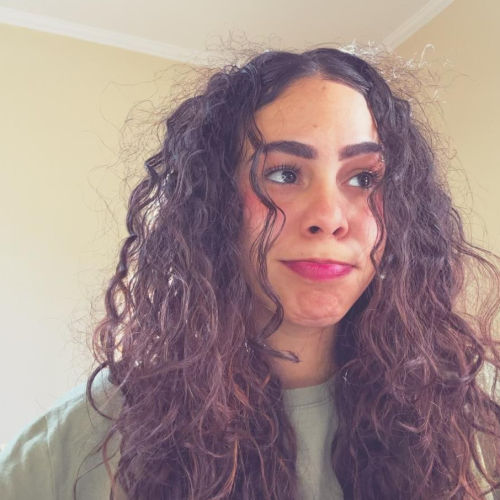 Por Que o Cabelo Fica com Frizz? Causas, Erros Comuns e Soluções!